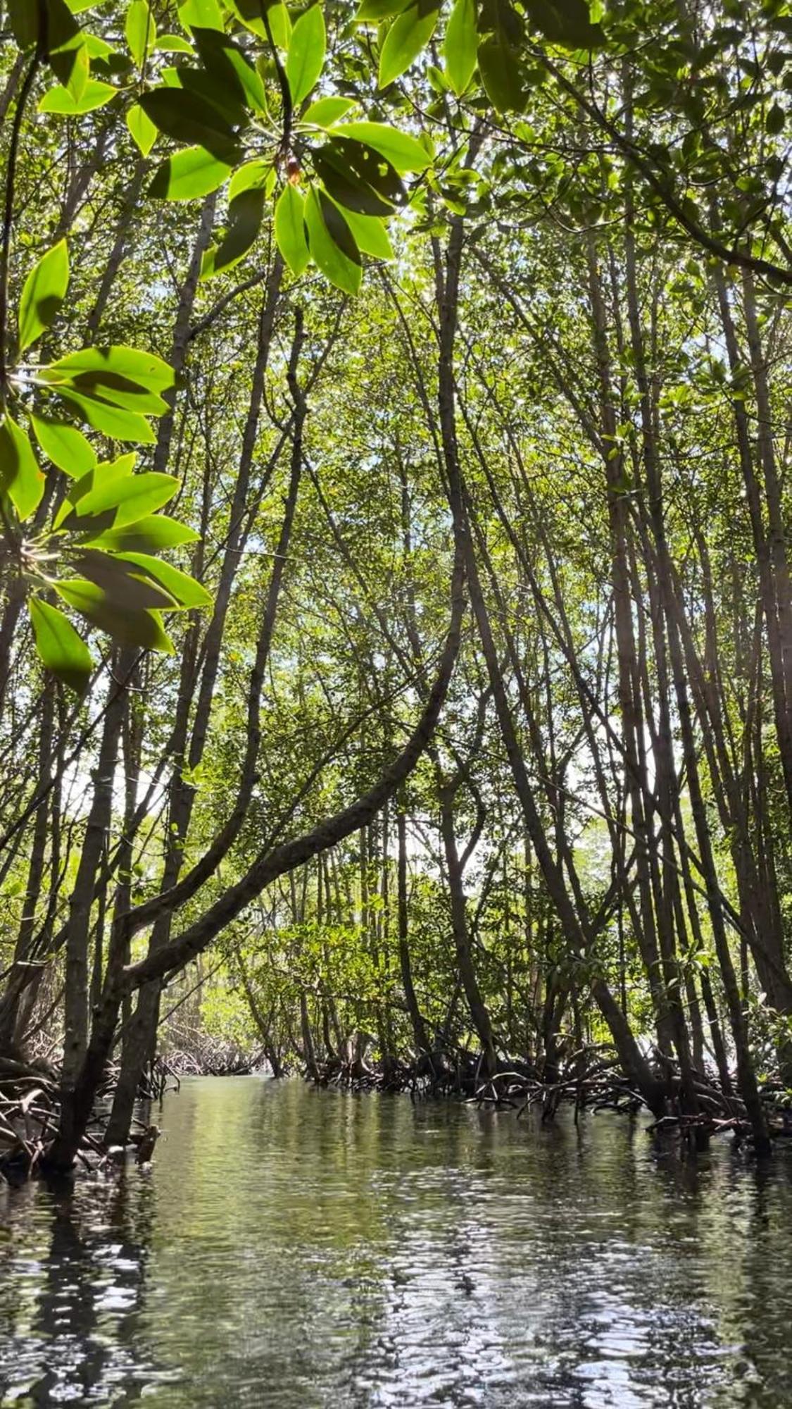 Mangrove Beach Hut Nusa Lembongan  Luaran gambar