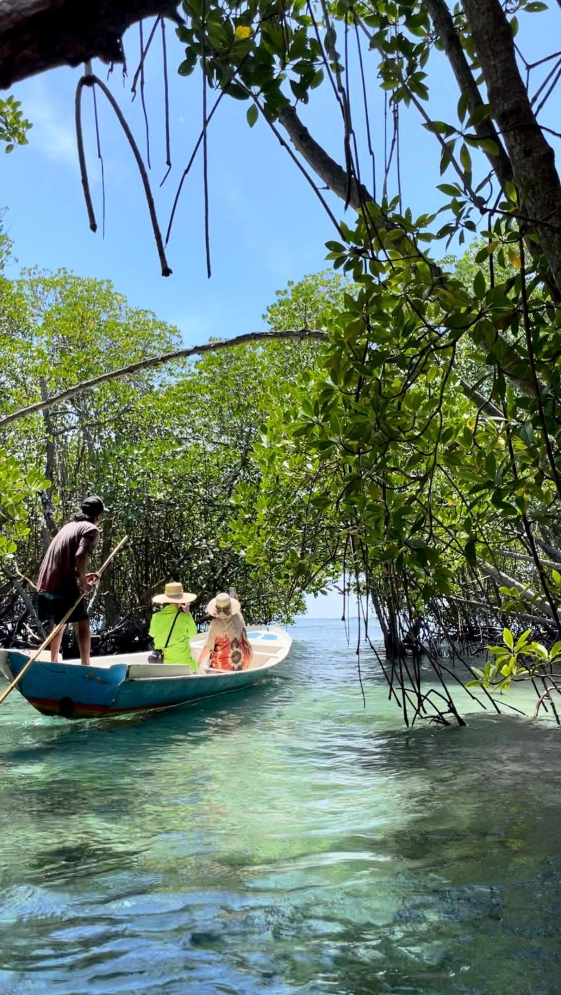 Mangrove Beach Hut Nusa Lembongan  Luaran gambar