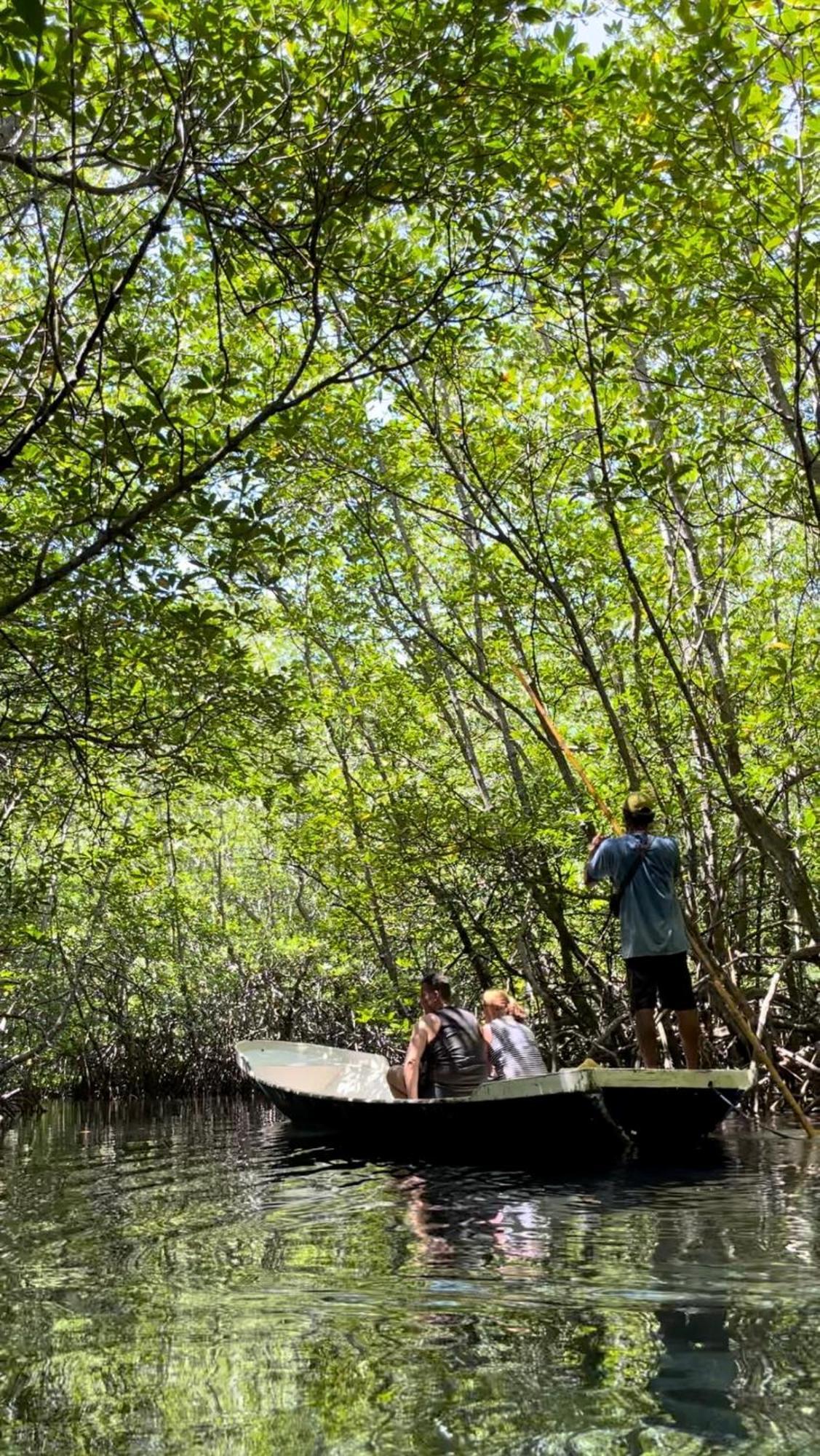 Mangrove Beach Hut Nusa Lembongan  Luaran gambar